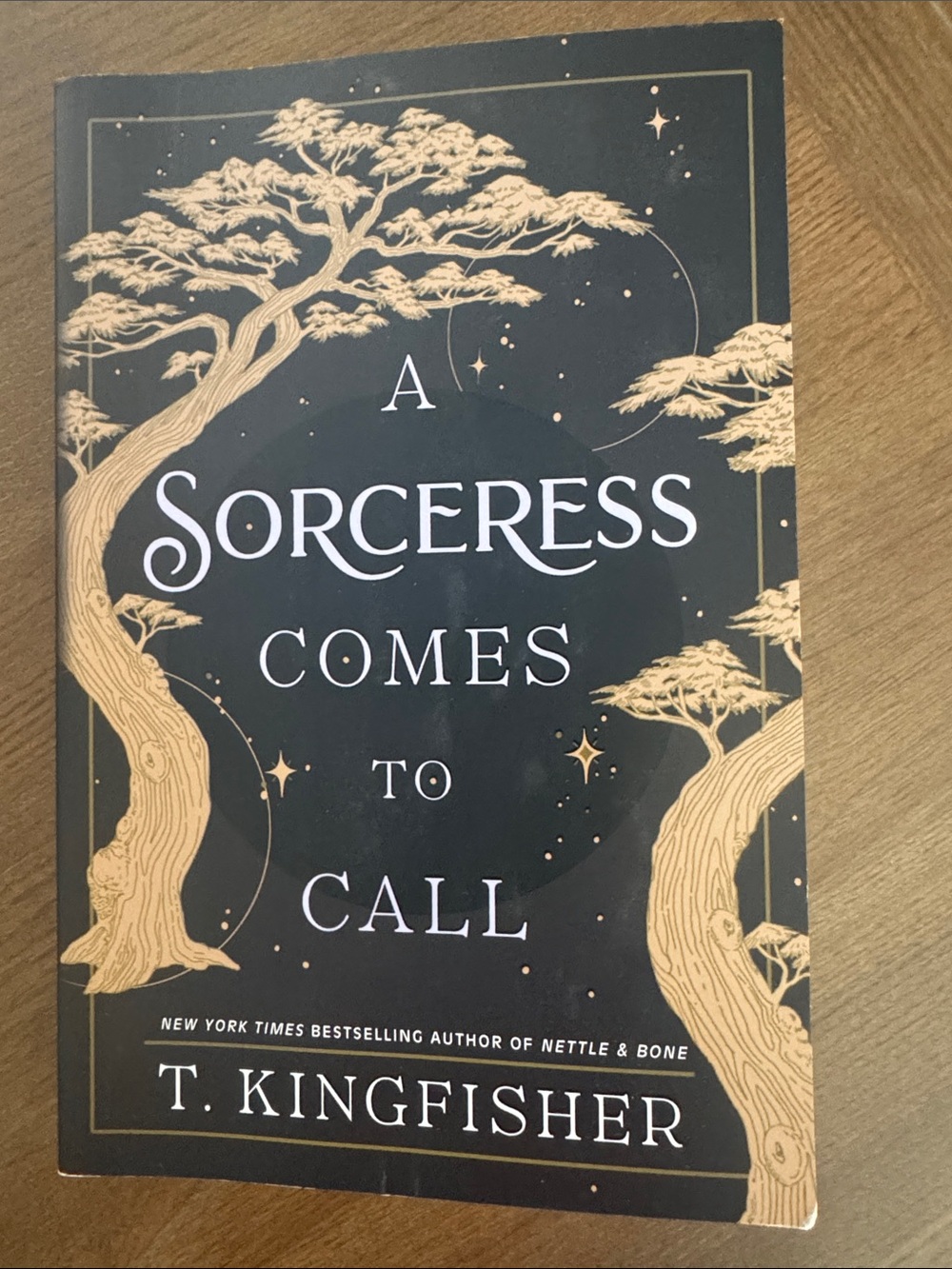 A Sorceress Comes to Call - Black and Gold Cover